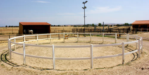 pista redonda hípica